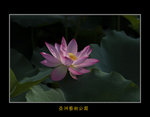 DSC_0360_F