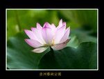 DSC_0394_F