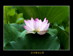 DSC_0405_F