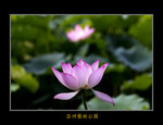 DSC_0408_F