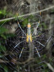 P5290006_ps