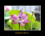 DSC_0005_ps