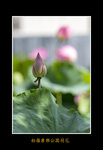 DSC_0012_ps