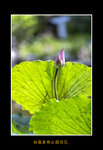 DSC_0015_ps