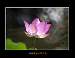 DSC_0029_ps