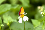 DSC_0086_ps
