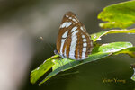 DSC_0056_ps