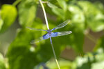 DSC_0171_ps