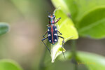 DSC_0306_ps