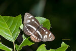 DSC_0478_ps