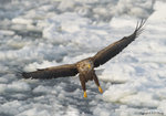 _AAB4951