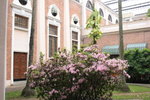 IMG_1477a