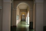 IMG_1536