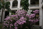IMG_1602