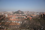 IMG_2351