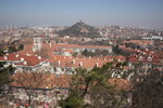 IMG_2358