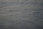 IMG_2684