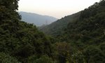 梧桐寨山景1