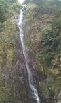梧桐寨主瀑1