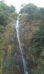 梧桐寨主瀑2