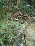 DSC05720