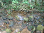 DSC05725