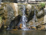 DSC00328