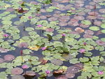 DSC00329