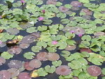 DSC00330