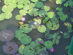DSC00331