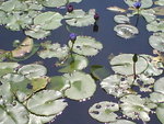 DSC00332