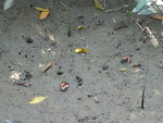 DSC00335