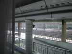 照片 020