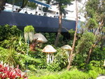 DSCN2926