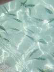 DSCN3141