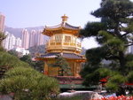 DSCN3341