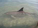 IMG_2454 (Small)
