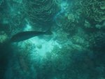IMG_2522 (Small)