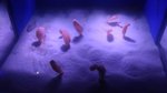 20160701_033027