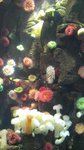 20160701_034139