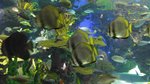 20160701_034852
