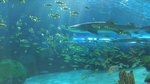 20160701_035955