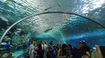 20160701_040213