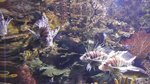20160701_043705