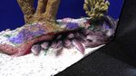 20160701_044339