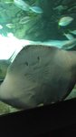 20160701_045721
