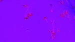 20160701_045938