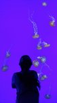 20160701_050000
