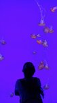 20160701_050006