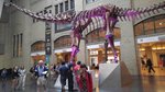 20160702_025348